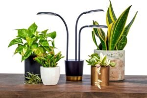 grow lights for indoor plants